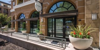 The Verdant The Verdant Gallery 29