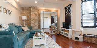 2 bed in Brookline Gallery 7