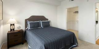 Vista 99 Apartments Vista 99 Apartments Gallery 4