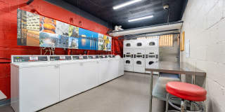 The York and Potomac Park Gallery 26