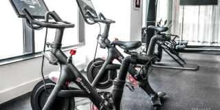 145 Clinton Street Gallery 8