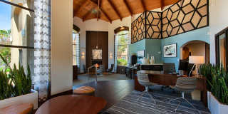 The Ventura Gallery 13