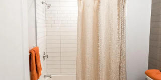 169 Elk St Gallery 11