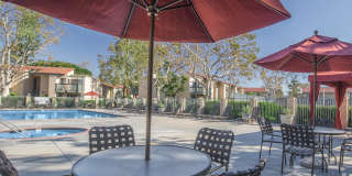 McComber Creek Gallery 37