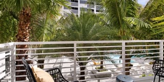 Suriana Boca Gallery 18