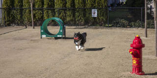 Trio Pointe Gallery 34