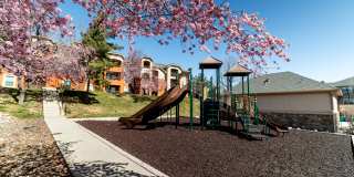 Austin Crest Apartments Gallery 30