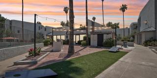 Ardella on 28 Gallery 24