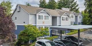 Avana Chestnut Hill Gallery 61