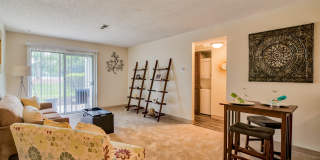 Park Terrace Gallery 28