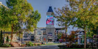 The Gauge Gallery 35