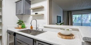 Treehouse Apartments Gallery 8