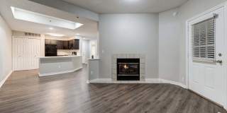 Avana Belmar Gallery 10