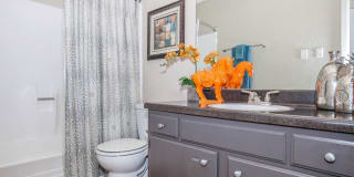 Forest Oaks Gallery 6