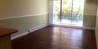 Whitmore Court Gallery 9