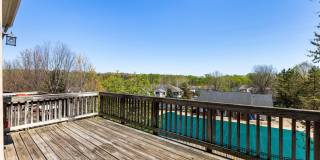 2925 ROTTERDAM Loop Gallery 2