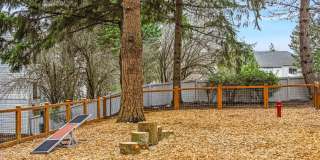 Westview Village Gallery 19