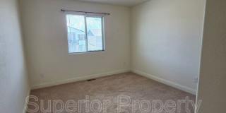 3921 Gunsmoke Road Gallery 16