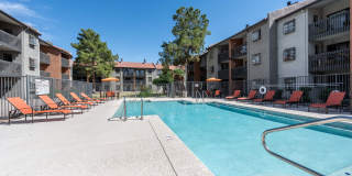 Renaissance Gallery 31