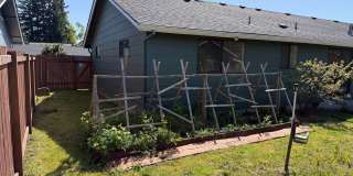 Well-kept house in desirable Thurston neighborhood! Gallery 8