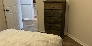 2878 Fawnwood Circle Gallery 19