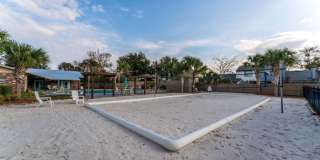 Sea Oats Sea Oats Gallery 33