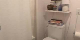 1609 Sydenham Gallery 44