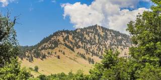 701 (384) Gallery 20