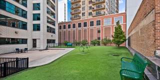 1128 S Michigan Ave Gallery 12