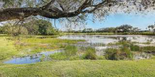 334 Brackenwood Circle Gallery 40