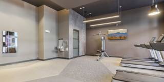 Avida Aventura Gallery 18