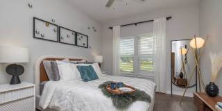 The Aster Gallery 16