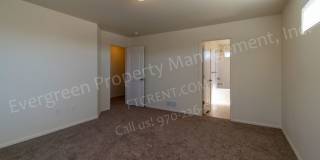 Beautiful 4-Bedroom in Greeley Colorado Beautiful 4-Bedroom in Greeley Colorado Gallery 24