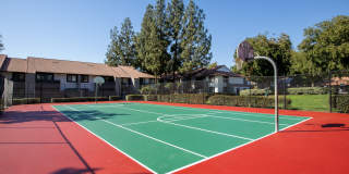 Metro Thirty Six Ten Gallery 19