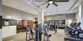 Sofia Coral Gables Gallery 6