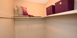 Icon Waverly Gallery 11