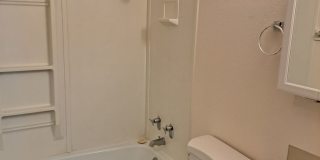 Olympic View Gallery 12