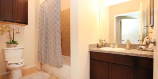 Stone Knights Apartments Gallery 10