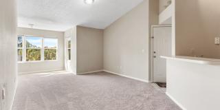 Venetian Place - 833 Gallery 1