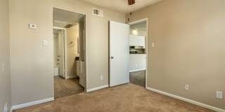 Rise on Cactus Gallery 44