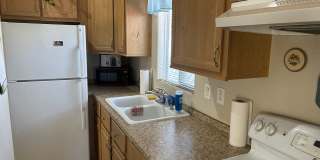 LOS AMIGOS- 55+ Community Gallery 5