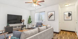 Sunrise in Chandler Gallery 29