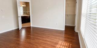 10222 PINK PALMATA COURT Gallery 21