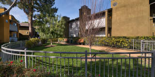 River Ranch Gallery 56