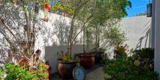 219 Equestrian Avenue Gallery 11