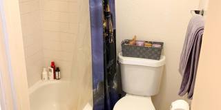 Evergreen Apartments Gallery 34