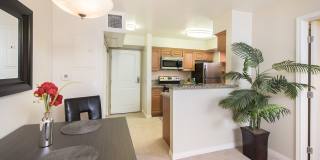 Santa Teresa Gallery 17