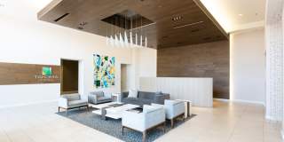 Takoma Central Gallery 13