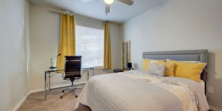 Boardwalk on Research Gallery 11