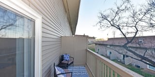 The Nelson Gallery 10